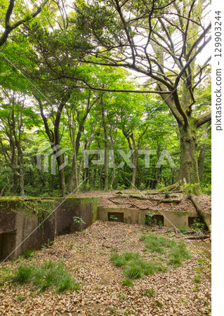 上見坂庭園:砲台遺跡 上見坂庭園:砲台遺跡 129903244