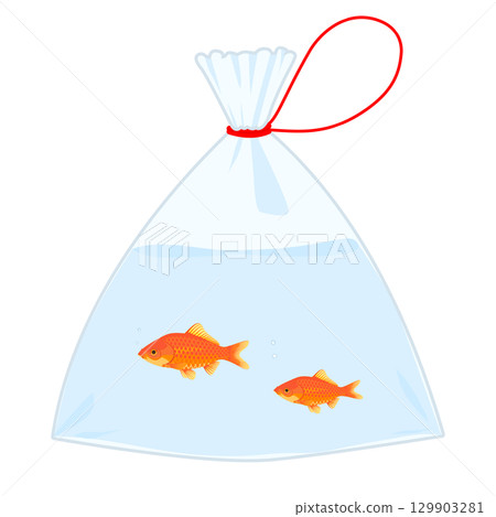 Illustration of a goldfish in a bag, color, no lines Illustration of a goldfish in a bag, color, no lines 129903281