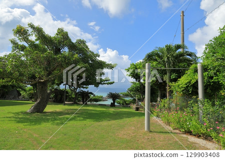 南部島嶼鳩間島的廣場風景,鬱鬱蔥蔥 南部島嶼鳩間島的廣場風景,鬱鬱蔥蔥 129903408