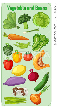 Colorful Assorted Vegetables and Beans Vector Illustration 129903779