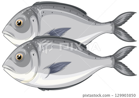 Realistic Vector Illustration of Two Fish 129903850