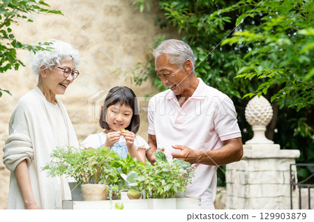 Senior couple and child gardening Senior couple and child gardening 129903879