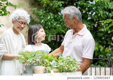 Senior couple and child gardening 129903887