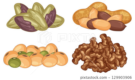 Assorted Nuts and Seeds Vector Illustration Collection Assorted Nuts and Seeds Vector Illustration Collection 129903906