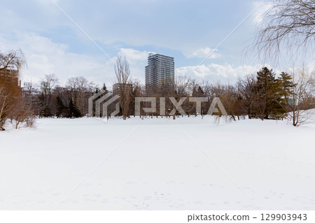 Nakajima公園在冬天 129903943