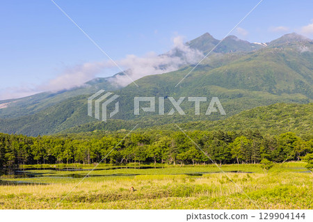 Shiretoko Iko 129904144