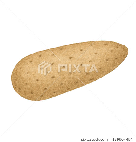 長土豆的插圖 129904494