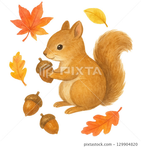 Illustration of a squirrel and acorns (autumn, autumn leaves, cutout) 129904820