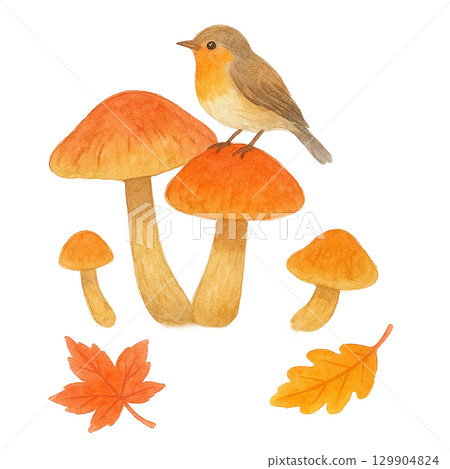 Illustration of a small bird and mushroom (autumn, autumn leaves, cutout) 129904824