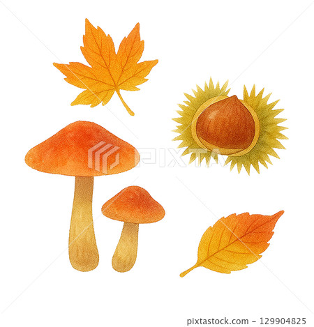 蘑菇、栗子和紅葉的插圖（秋天素材、剪紙） 129904825