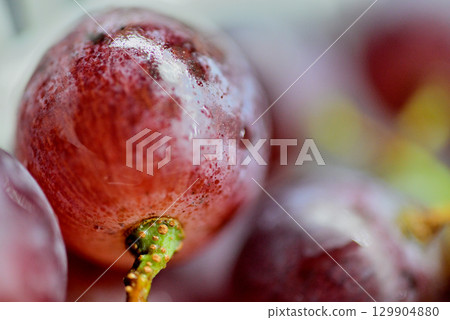 Close-up of fresh red grapes with water droplets Close-up of fresh red grapes with water droplets 129904880