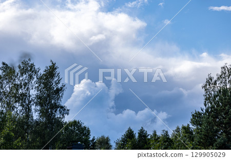 beautiful clouds rise above the forest 129905029