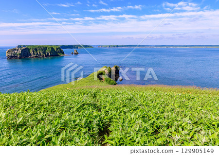 Under the blue sky, the view of Kenbokki Island and the Pacific Ocean from Cape Azechi in Hama-naka Town 129905149