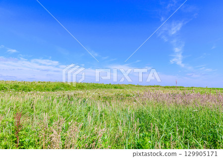 Under the blue sky, the view of Kenbokki Island and the Pacific Ocean from Cape Azechi in Hama-naka Town Under the blue sky, the view of Kenbokki Island and the Pacific Ocean from Cape Azechi in Hama-naka Town 129905171