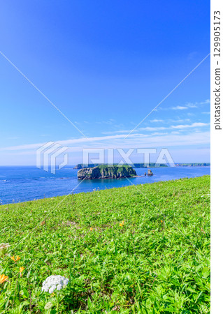 藍天下，從濱中町的阿澤奇岬眺望劍木島和太平洋 129905173
