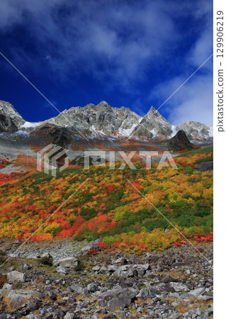 秋天的唐澤馬戲團（垂直） 129906219