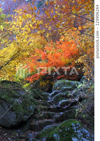 黑部峽谷下廊道④ 129906264