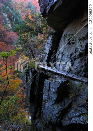 黑部峽谷下廊道⑥ 黑部峽谷下廊道⑥ 129906269