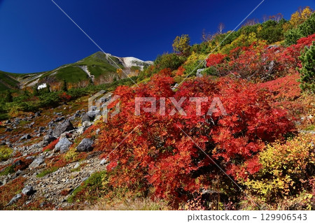 Mt. Norikura in beautiful autumn colors Mt. Norikura in beautiful autumn colors 129906543