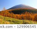 落葉松和淺間山的紅葉① 129906545
