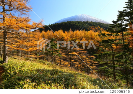 落葉松和淺間山的紅葉② 落葉松和淺間山的紅葉② 129906546