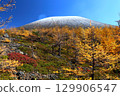落葉松與淺間山的紅葉③ 129906547