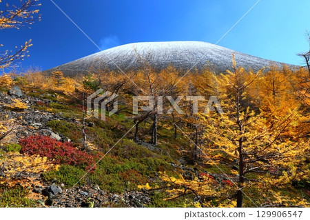 Autumn leaves of larch and Mt. Asama③ 129906547