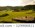 Rice terrace terraces illuminated by the setting sun, golden ears of rice, connecting rice terrace heritage, Hiwa Mikawachi rice terraces 129906811