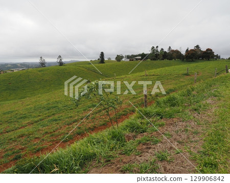 Lines running through the green hills - the agricultural structure of Ellinjaa Falls 129906842