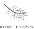 Christmas tree branch with snow. Watercolor illustration of a winter plant. Hand drawn vintage sketch on white isolated background. Water color painting clip art image 129906975