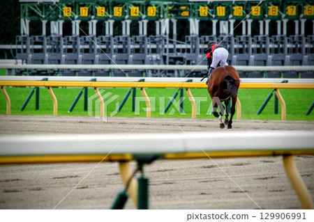 Landscape with horses 129906991