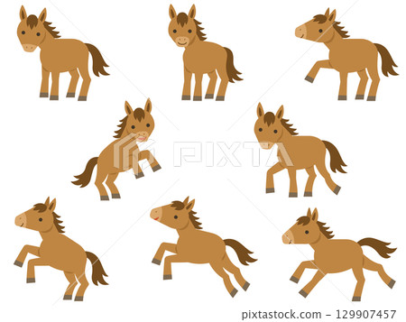 Horse illustration set 129907457