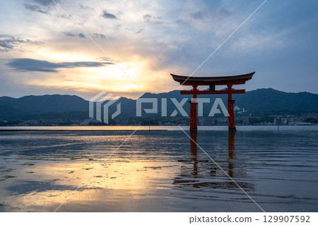 Famous red torii gate of Itsukushima shrine at sunset in Miyajima, Japan Famous red torii gate of Itsukushima shrine at sunset in Miyajima, Japan 129907592