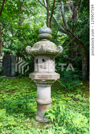 Traditional stone lantern at Jochi-ji Temple in Kamakura, Japan Traditional stone lantern at Jochi-ji Temple in Kamakura, Japan 129907594