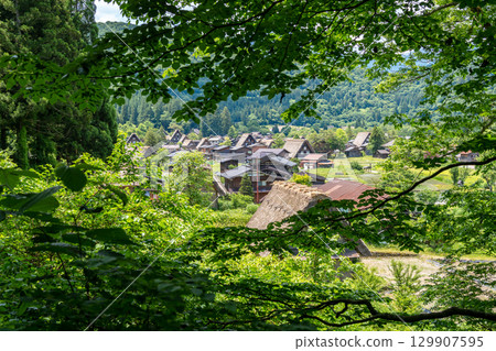 Traditional thatched houses of Shirakawa-go village in rural Japan. Panoramic view Traditional thatched houses of Shirakawa-go village in rural Japan. Panoramic view 129907595