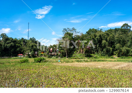 Traditional village with rice fields in Toraja, Sulawesi, Indonesia 129907614