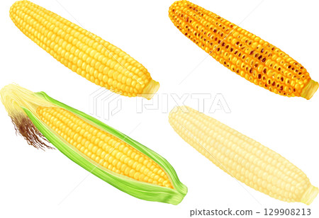 Corn Variations: Husk-on, Grilled Corn, White Corn 129908213