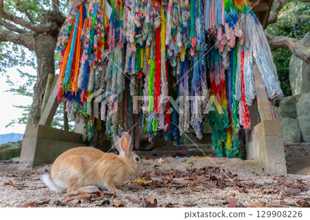 Thousand Paper Cranes and Rabbit 129908226