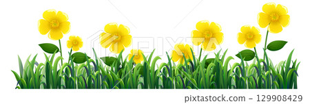 Vibrant Yellow Flowers in Lush Green Grass 129908429