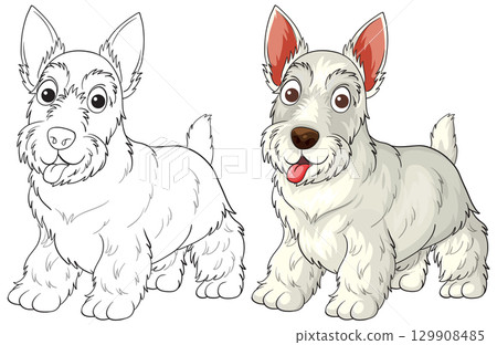 Scottish Terrier Cartoon Illustration with Color and Outline 129908485
