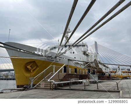 停泊的雄偉的八甲田丸號 [僅供社論使用] 129908801