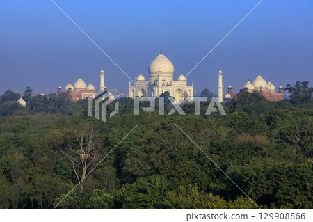 Taj Mahal 129908866