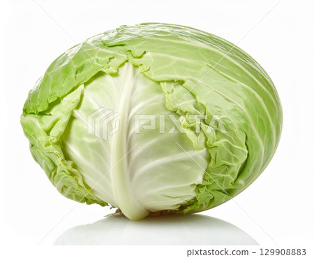 Freshly harvested autumn vegetables (cabbage) 129908883