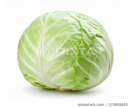 剛採摘的秋季蔬菜（高麗菜） 129908885