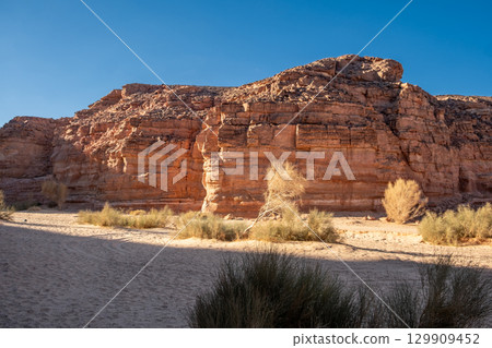 Expansive view of Sinai desert showcasing barren cliffs and sparse vegetation under a clear blue sky Expansive view of Sinai desert showcasing barren cliffs and sparse vegetation under a clear blue sky 129909452