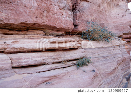 Exploring the natural beauty and ancient carvings of Tsvetnoy Canyon in Egypt during golden hour 129909457