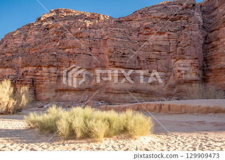 Exploring the Natural Beauty of Tsvetnoy Canyon in Egypt with Sunlit Rock Formations 129909473