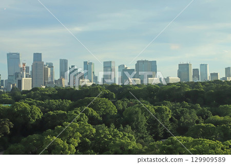 東京皇宮地區的森林和建築物 129909589