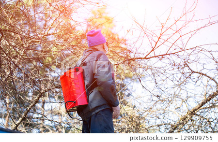 A man with a red electric sprayer treats trees and bushes in a garden on a summer cottage. Treatment of trees with copper sulfate in spring. Copy space for text, sunset 129909755