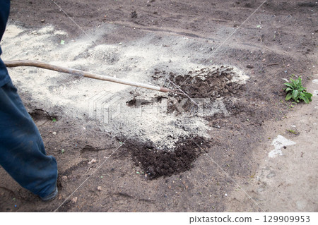 Loosening the soil with a rake and deoxidizing the soil with dolomite flour in the garden in spring, close-up. Copy space for text, neutralizing soil 129909953